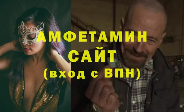 ГАЛЛЮЦИНОГЕННЫЕ ГРИБЫ Елабуга