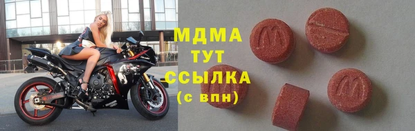 СК Ельня