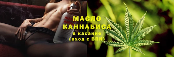не бодяженный Заводоуковск