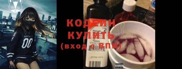 СК Ельня
