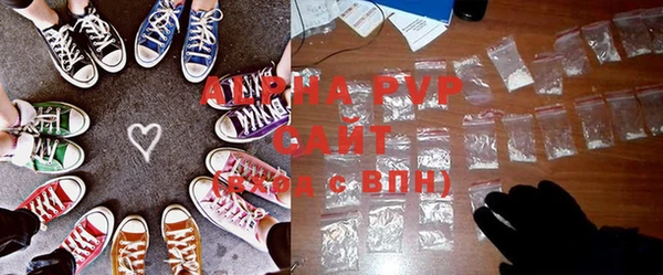 СК Ельня