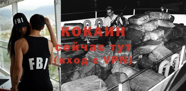 не бодяженный Заводоуковск