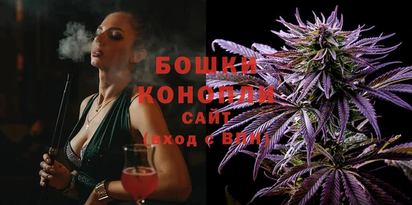 ГАЛЛЮЦИНОГЕННЫЕ ГРИБЫ Елабуга