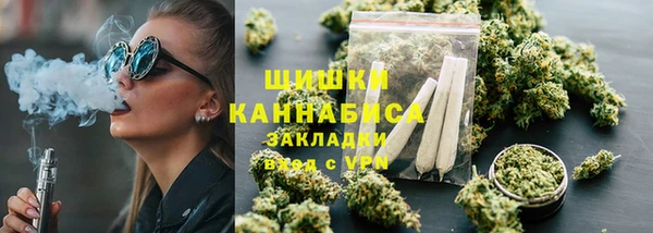 не бодяженный Заводоуковск