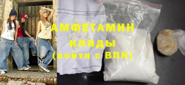 СК Ельня