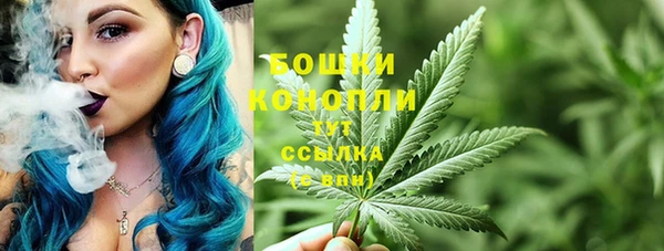 ГАЛЛЮЦИНОГЕННЫЕ ГРИБЫ Елабуга