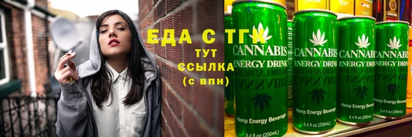 СК Ельня