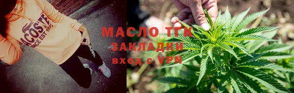 не бодяженный Заводоуковск