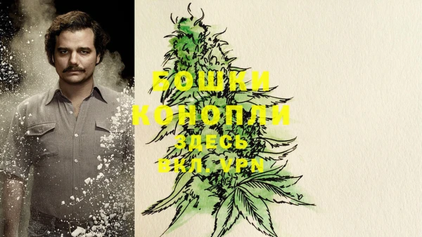 spice Заволжье
