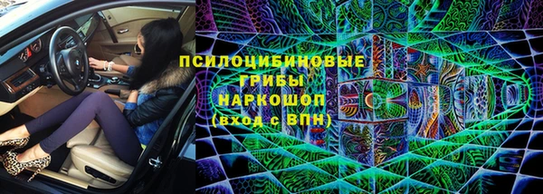 ГАЛЛЮЦИНОГЕННЫЕ ГРИБЫ Елабуга