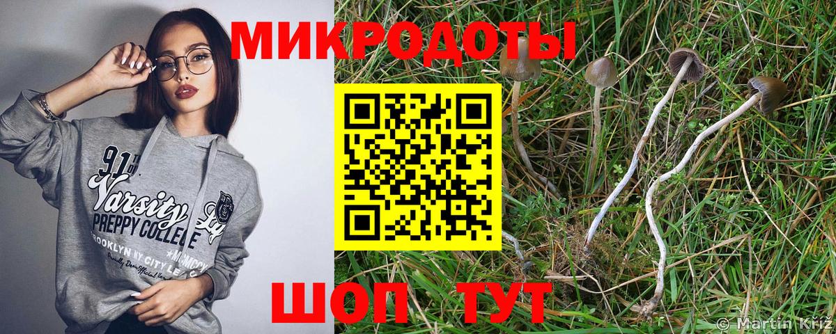 Псилоцибиновые грибы ЛСД Зеленодольск